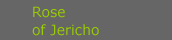 rose_v_jericho